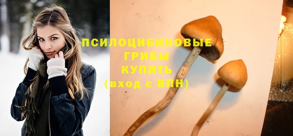 mix Аркадак