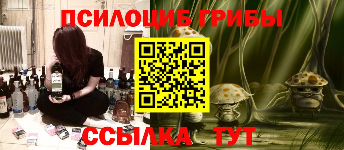 Галлюциногенные грибы Psilocybe  Вход с VPN  Балтийск 