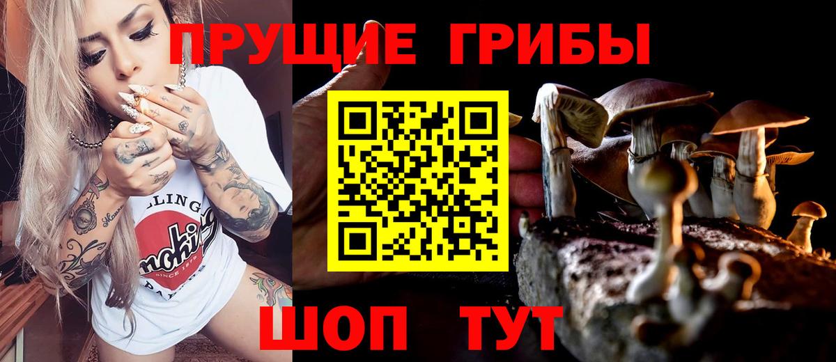 Псилоцибиновые грибы Magic Shrooms Балтийск